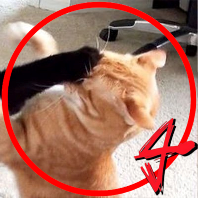 RussotSeba84344's profile picture. 