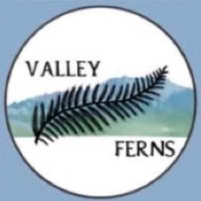 ValleyFernsRugby Profile
