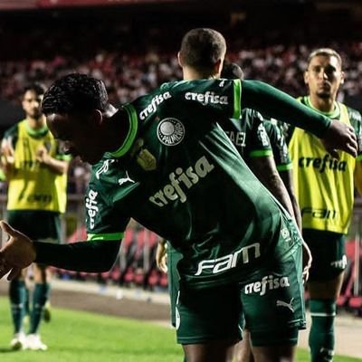 enzo_fr23's profile picture. se o Palmeiras está de pau duro, eu também estou.