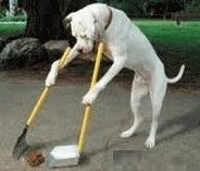 Quiera Mucho a Su Perro, Eduquelo, Entrenelo, y Sean Felices Los Dos.