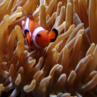 AquaTek Tropical (@aquatek_austin) 's Twitter Profile