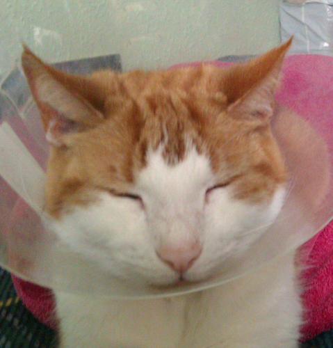 CricketNut2005's profile picture. LCCC & ENGLAND cricket supporting nut!