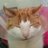 Janet Edgeller (@cricketnut2005) 's Twitter Profile Photo
