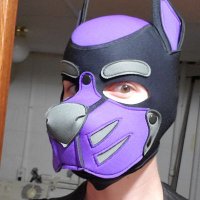 PupSprite (@pupsprite) 's Twitter Profile