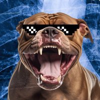 OverDogs Podcast | Kanpai Media(@OverDogsPodcast) 's Twitter Profile Photo