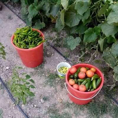 Azdan az çoktan çok gider...!

(RT'ler Bilgilendirme ve Kaynak göstermek amaçlıdır destek anlamına gelmez)