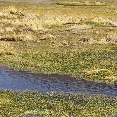 yma93551's profile picture. 