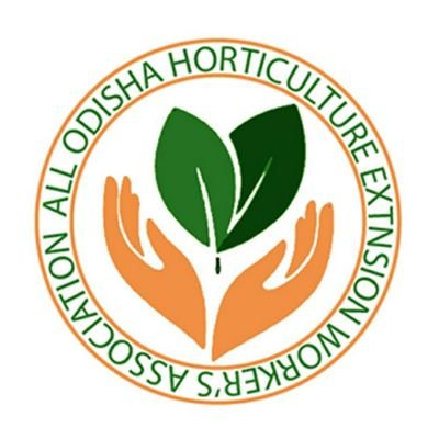 OdishaHew's profile picture. Demands with Dedication