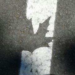 Lissieさんのプロフィール画像