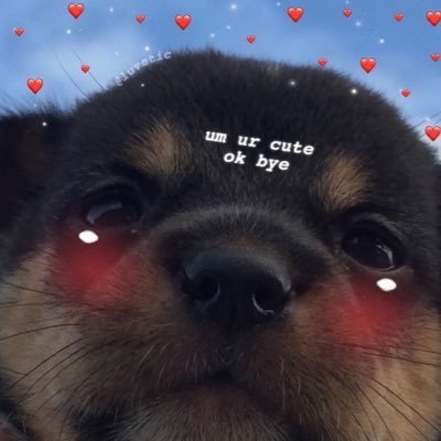 Kiken707's profile picture. 18 yay ;; sapphic..... girls.... 😼