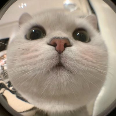 mochinekoryuuu's profile picture. motion graphic designer - editor