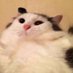 min (@heihuli) Twitter profile photo min (@heihuli) Twitter profile photo