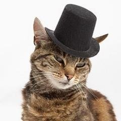 GoblinDart's profile picture. Meme Sommelier
(dude/bro)