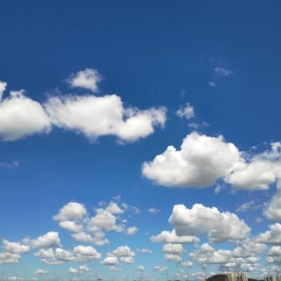 cTW6q8VtWXVllmN's profile picture. 