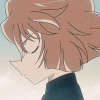 灰原哀因斯坦 | Haibara Ainstein(本物 ) (@ainsteinh) 's Twitter Profile