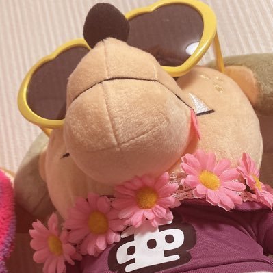 じゃんさんのプロフィール画像