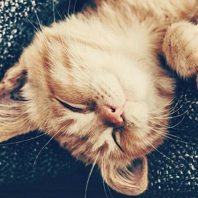 ErJ8_'s profile picture. 🍦 Escribiendo...