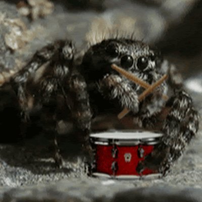 omegalolj's profile picture. ako si rezo, ur local pipino gagamboi