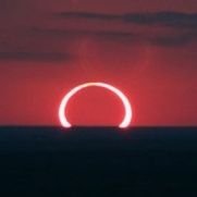 e_ven_eve's profile picture. w