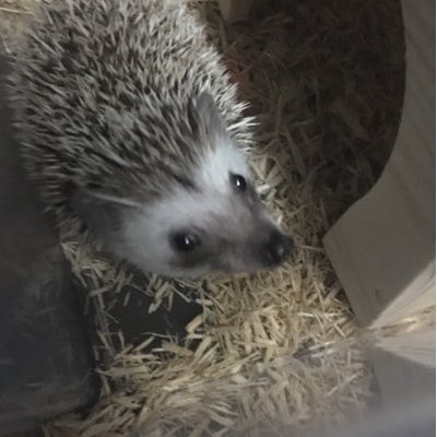 りょーきっくさんのプロフィール画像