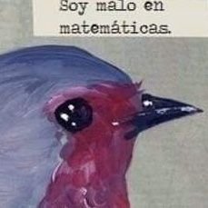 Alitaenchilada's profile picture. Una persona que le gusta quejarse de todo