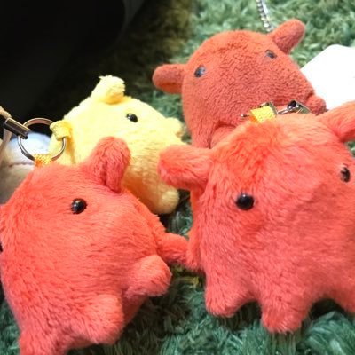 キョンdreamさんのプロフィール画像