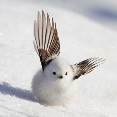 みこユキさんのプロフィール画像