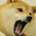 The dogge (@thedogge4) Twitter profile photo The dogge (@thedogge4) Twitter profile photo
