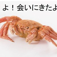 蟹頭 (@kaniatamaj) 's Twitter Profile Photo