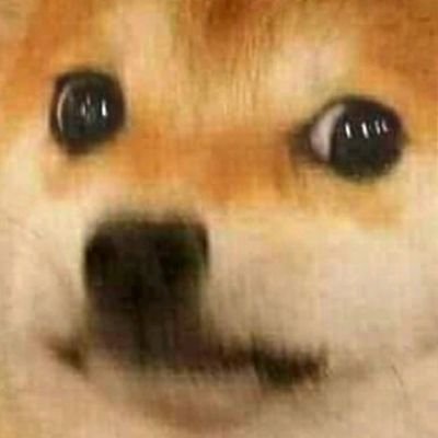 Simptastic69's profile picture. 21 years old 🫡

🩷💜💙