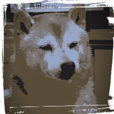 しばかみさんのプロフィール画像