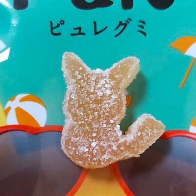 ぬんぬん (@nunnun0112) / X