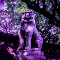 てっつ (@kikumonpepepe) 's Twitter Profile Photo てっつ (@kikumonpepepe) 's Twitter Profile Photo