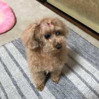 kihiro (@kihiro0827) 's Twitter Profile Photo