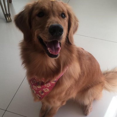 vaipola's profile picture. jogo uns joguinhos ae