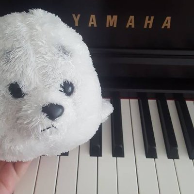 That Seal Ṗ̶͔̏̃ianist from YT 🎹🎵.
I make piano covers ranging from anime, vocaloid, and game soundtracks.