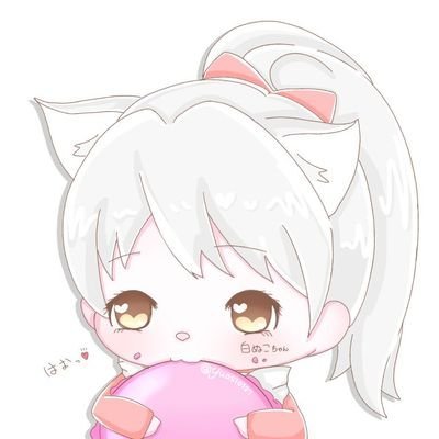 白ぬこさんのプロフィール画像