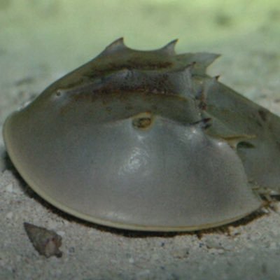 spykids3guy's profile picture. 