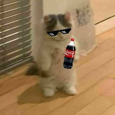 Rongaongo's profile picture. 