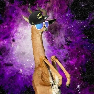 Gacelaloca's profile picture. Gacela sin gracia // UHU // Programador // Ad Astra // Pollólogo // 29