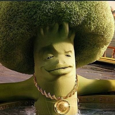 Avalonsladder's profile picture. 