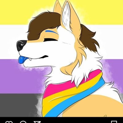 I'm a Furry and Weeb, Sonic Fan, Switch Gamer & Music Nerd/Foodie 29,Autistic & Poly/Pan Femboy They, Them *no minors*nsfw sometimes @KovachNoah💖 @BennyHyena💖