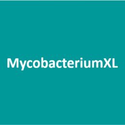 The intracellular fate of pathogenic mycobacteria 
Research consortium funded by the Dutch Research Council (NWO) 
Grant# OCENW.XL21.XL21.006