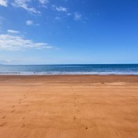 Davie Duncan (@davieduncan) 's Twitter Profile Photo