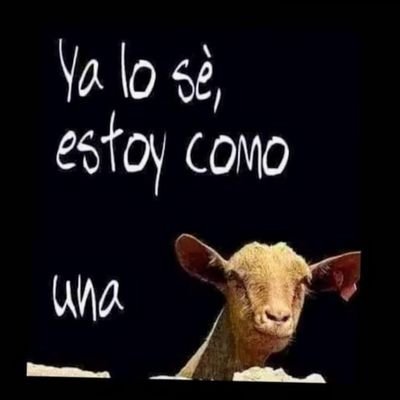 alberto23901061's profile picture. Nunca he sido un santo, y descubrí que las malas compañías no son tan malas y de la tentación hay que huir,  pero tampoco hay que correr mucho.