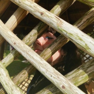 bipsidipsi's profile picture. 