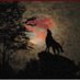 Lone Wolf Trader (@lonewolfetrader) Twitter profile photo Lone Wolf Trader (@lonewolfetrader) Twitter profile photo