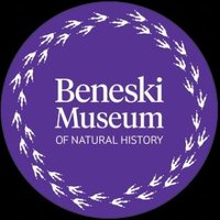 Beneski Museum of Natural History (@beneskimuseum) 's Twitter Profile Photo Beneski Museum of Natural History (@beneskimuseum) 's Twitter Profile Photo