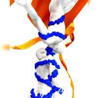 zoeyaashley29's profile picture. Photographer | Interior Designer  
natalieobradovichphotography  jamisonstudio 
Gallery Representation houseofspoils