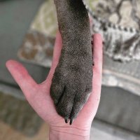 Bark Side of Life (@bhardewig8) 's Twitter Profile
